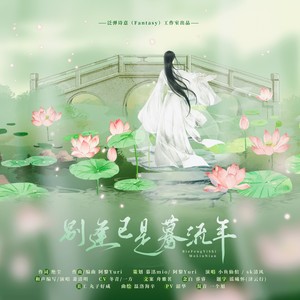 别逢已是蓦流年伴奏 (伴奏)