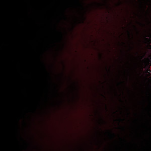 Aaryan Shah - Nothing New