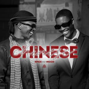 Chinese (feat. Nicco SA) (Radio Edit)