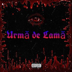 Urma de Lama (feat. mVlad & Reddyt) [Explicit]