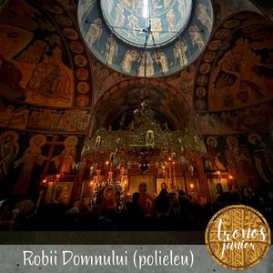 Robii Domnului (Polieleu) (feat. Tronos Junior)