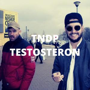 testosteron (feat. TNDP) [Explicit]