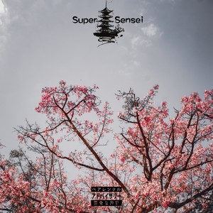 Super Sensei (Explicit)