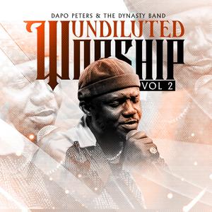 Undiluted Worship, Vol. 2