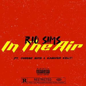 In th Air (feat. Ka$hmir Kelly & Cheebo Sims)