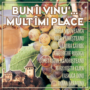 Bun Ii Vinu' Mult Imi Place