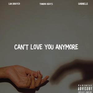 Can't Love You Anymore (feat. GaBrielle) (Explicit)