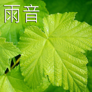 雨音,1部