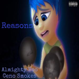 Reasons (Explicit)