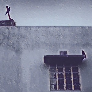 Rekhona Obhiman (Inst.)