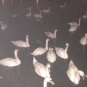 keine erwartungen (Explicit)