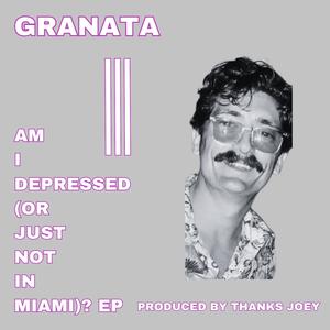 Am I Depressed (Or Just Not in Miami) ? (Explicit)