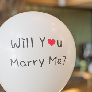 will you marry me (Demo)