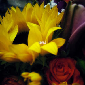 COYOTE (feat. Onhail) (Remastered)