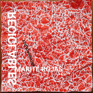 Anthropology (En Vivo)