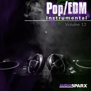 Pop/EDM Instrumental Volume 12