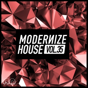 Modernize House, Vol. 35