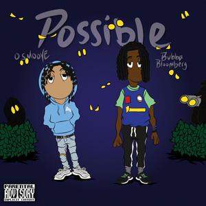 Possible(feat. Bubba Bloomberg) (Explicit)