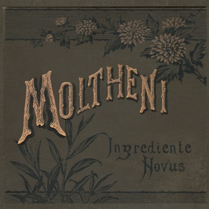 Ingrediente novus