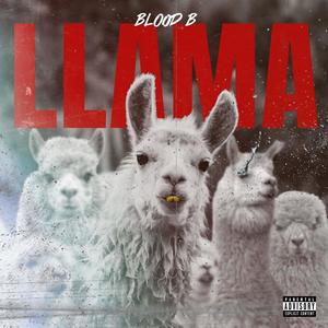 LLAMA (Explicit)