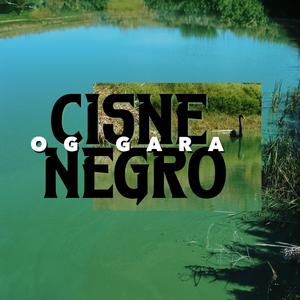 Cisne Negro (Explicit)