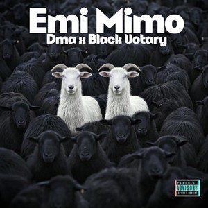 EMI MIMO (Explicit)