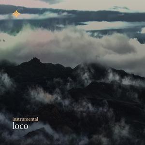loco (no/vox’s version)