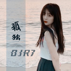 孤独 (DJR7)