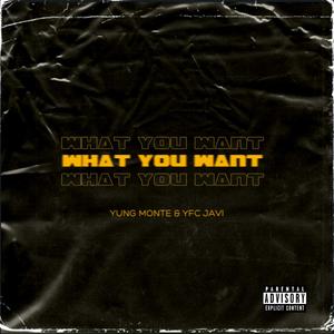 What You Want(feat. YFC Javi) (Explicit)