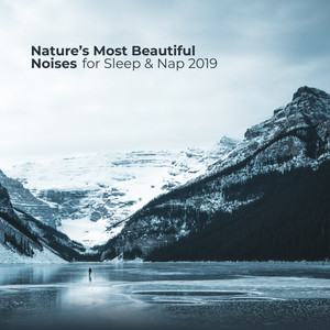 Nature's Most Beautiful Noises for Sleep & Nap 2019