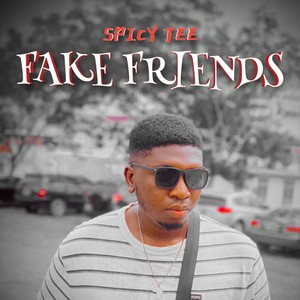 Fake Friends
