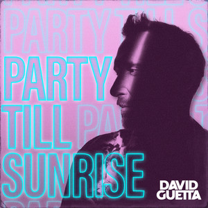 Play Hard (feat. Ne-Yo & Akon)