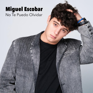 No Te Puedo Olvidar
