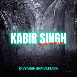 Kabir Singh Flute Mashup (Explicit)