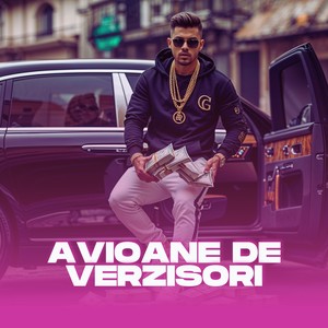 Avioane de verzisori