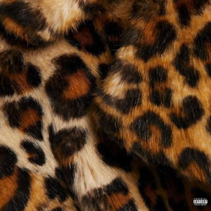 cheetah print (Explicit)