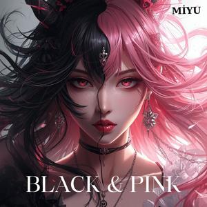 Black & Pink (블랙 앤 핑크)