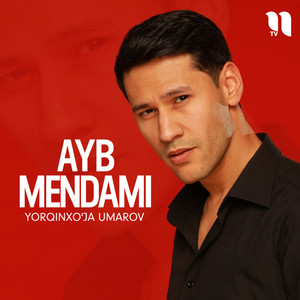 Ayb mendami