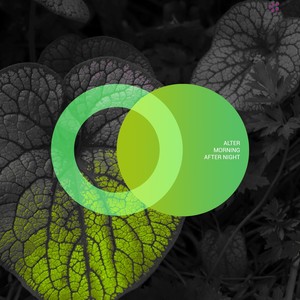 Morning After Night (Breaks Mix)