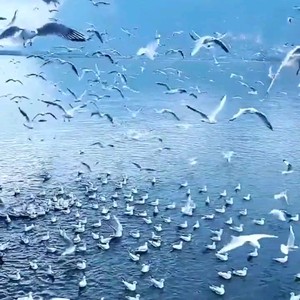 默默珍藏我们的爱恋 (伴奏)