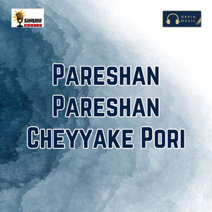 Pareshan Pareshan Cheyyake Pori