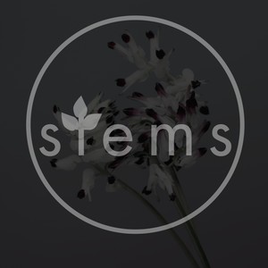 Sonder (William Crooks Remix)