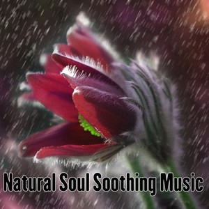 Relaxing Music Therapy - Soothing Adventure