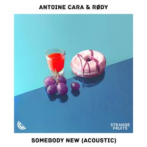 Somebody New (Acoustic)
