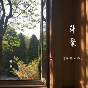 萍聚 (深情女版)封面