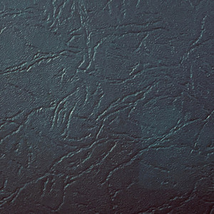 Let Her Go Now (Demo)