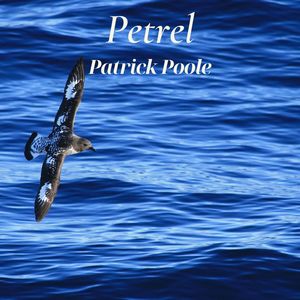 Petrel