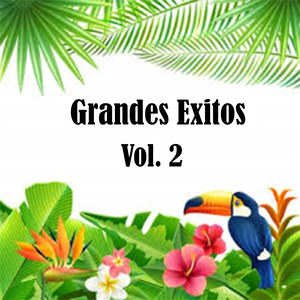 Grandes Exitos, Vol. 2