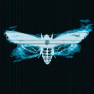 Moth To A Flame (Explicit)