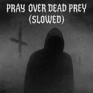 Pray Over Dead Prey (SLOWED RMX|Explicit)